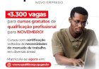 Programa 'Novo Emprego' Oferece Cursos Gratuitos de Qualificação Profissional