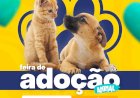 Adote um Amiguinho: Feira de Adoção de Cães e Gatos Acontece nesta Quarta-feira em Atibaia