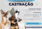 Atibaia Realiza Mutirão de Castração para Pets: Inscrições Abertas