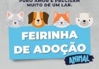 Atibaia Realiza Feirinha de Adoção para Pets no Dia 12 de Março