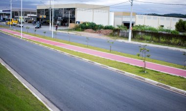 Motorista Preso Após Atropelar Coletor de Sucata em Atibaia