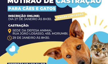 Primeiro Mutirão de Castração de 2025 em Atibaia: Inscrições Abertas