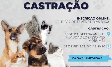 Atibaia Realiza Mutirão de Castração para Pets: Inscrições Abertas