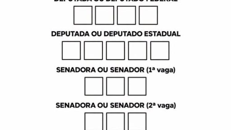 VOCÊ SABE A ORDEM DE VOTAÇÃO NAS ELEIÇÕES?