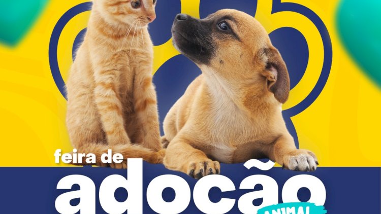Adote um Amiguinho: Feira de Adoção de Cães e Gatos Acontece nesta Quarta-feira em Atibaia