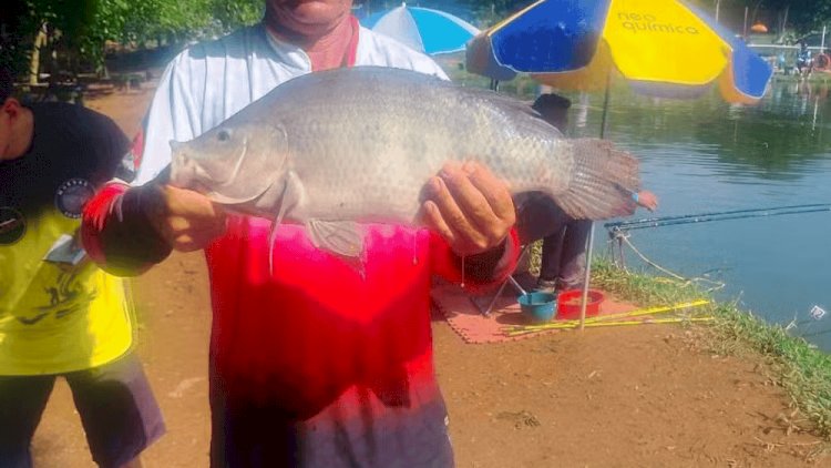Caso de violência em festa tem nova prisão; vítima segue internada